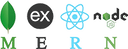 MERN Stack Developer icon